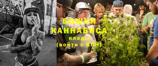 молекула духа Бородино