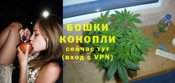 молекула духа Бородино