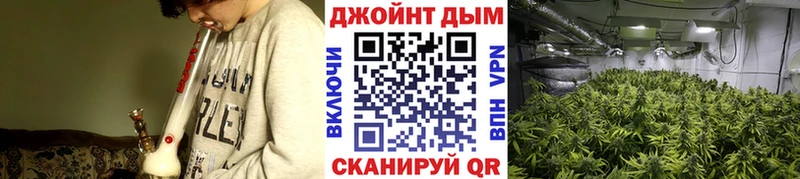 купить закладку  Высоковск  МЕГА зеркало  Марихуана гибрид 